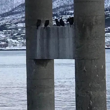Cosy New 25 Kvm In The Heart Of Tromsoe Apartamento